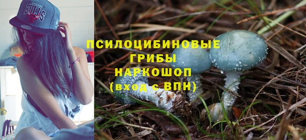 дживик Алзамай