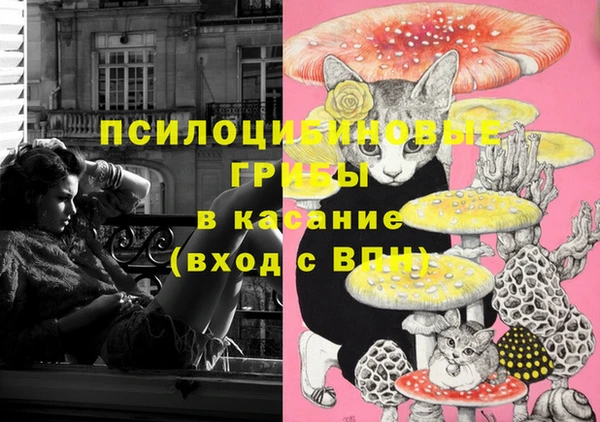 дмт Алексеевка