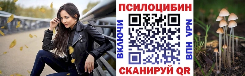 Псилоцибиновые грибы прущие грибы купить Кизел