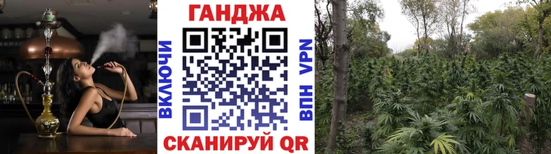 продажа наркотиков  Кизел  это официальный сайт  Шишки марихуана SATIVA & INDICA 